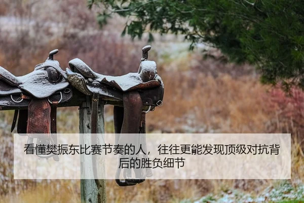 看懂樊振东比赛节奏的人，往往更能发现顶级对抗背后的胜负细节